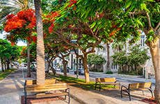 Guía de Tel Aviv