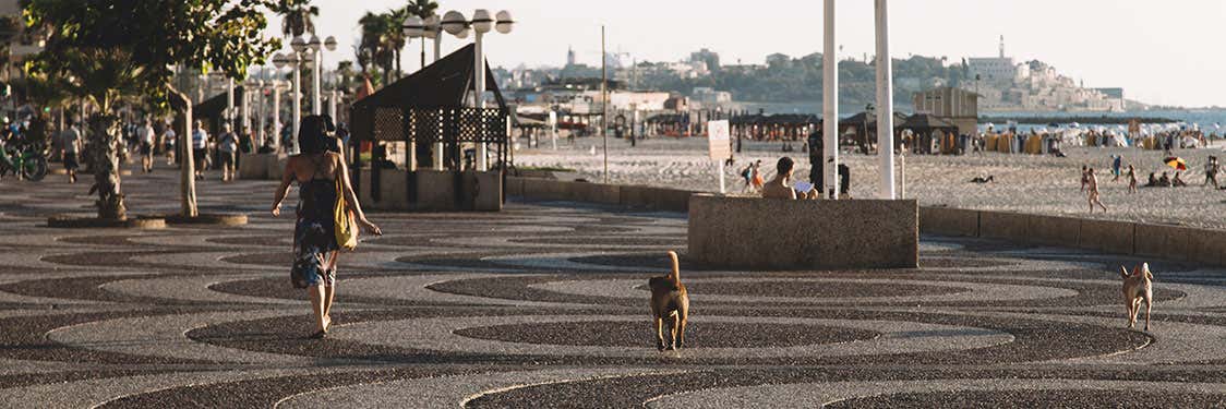 Paseo marítimo Tayelet